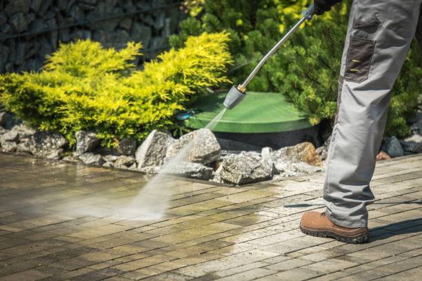 Best Building Exterior Washing  in Parkwood, CA